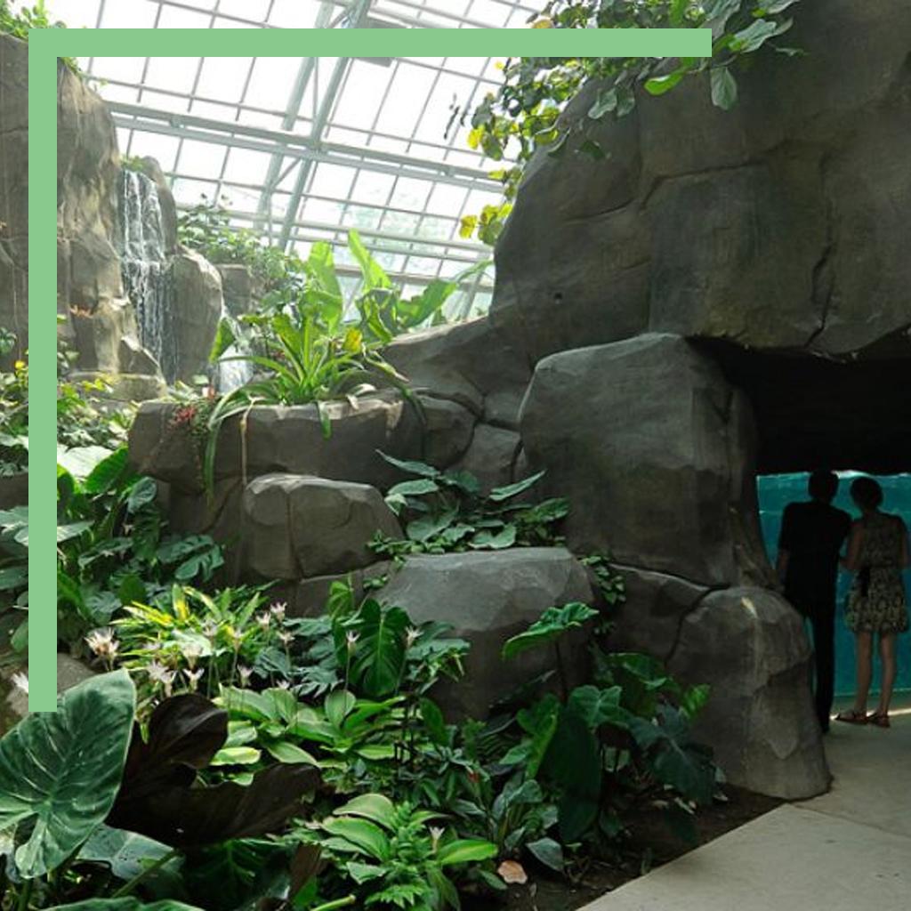 Expédition dans la jungle tropicale de la biozone Amazonie-Guyanne du zoo de Paris(Zoo de Paris (Vincennes))