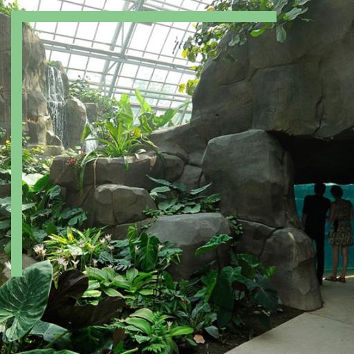 Expédition dans la jungle tropicale de la biozone Amazonie-Guyanne du zoo de Paris