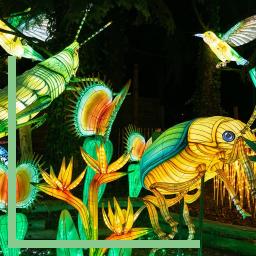 Festival Luminescences Zoo d'Amnéville