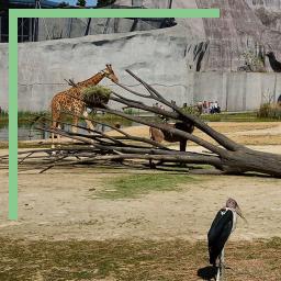 La Biozone Afrique du zoo de Paris