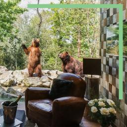 Yukon Lodge avec les grizzlys au zoo de la Flèche